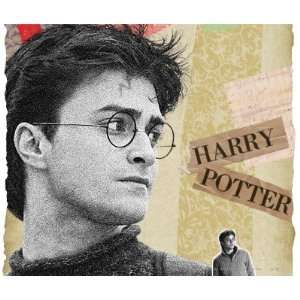  Harry Potter 11 Mousepads: Office Products