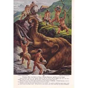 1955 Pliestocene Cavemen Attack Woolly Mammoth Mastadon Trap   Andre 