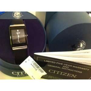    Citizen Professional Diver Mens Eco Drive SS: Everything Else