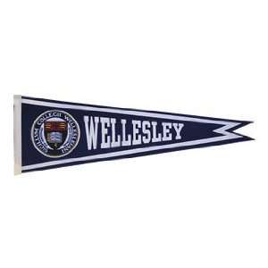 Wellesley College Blue Prides Color Seal Wc Pennant  