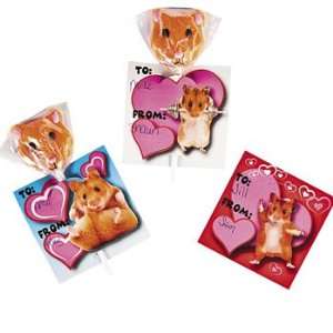 Hamster Valentine Cards With Suckers Grocery & Gourmet Food