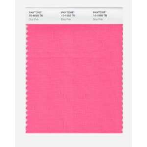  Pantone 16 1650 Nylon Brights Color Swatch Card: Home 