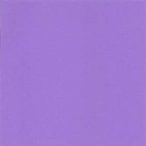  Cre8 a Page 8x8 Violet/Purple Cardstock, 25 Sheets, Card 