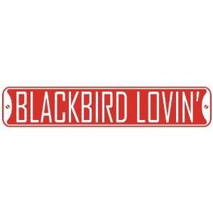   BLACKBIRD LOVIN  STREET SIGN