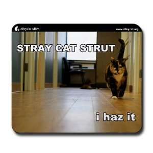  Alley Cat Allies LOLcats   Stray Cat Strut Pets Mousepad 