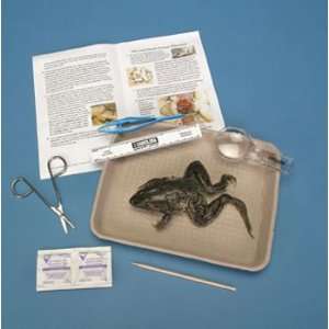 Young Scientists Frog Dissection Kit:  Industrial 