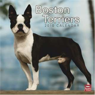 Boston Terriers 2010 Square Wall
