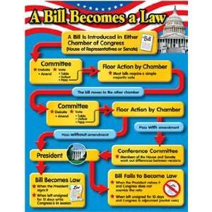  Chart A Bill Becomes A Law Gr 4 8 Toys & Games