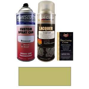   Can Paint Kit for 1980 Lincoln All Models (6Q (1980)): Automotive