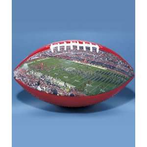  Ohio State College Stadium Collectible Football: Sports 