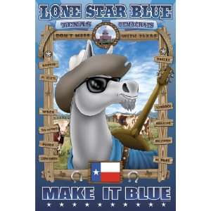  Lone Star Blue   Texas 24X36 Giclee Paper: Home & Kitchen