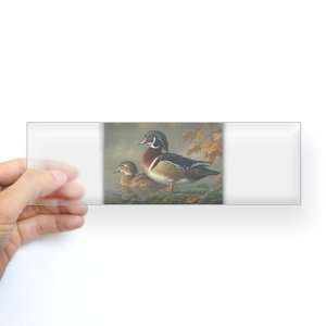  Bumper Sticker Clear Wood Ducks: Everything Else