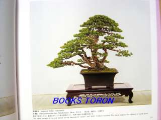 Exhibition of Kokufu Bonsai 65 /Japanese Photo Book/218  