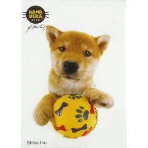  Hanadeka Dog   Mini Puzzle   Shiba Inu: Office Products