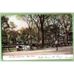 Postcard The Mall Central Park New York City 1907 