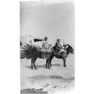  2 boys on burros at Carthage,Tunis,Tunisia,1927