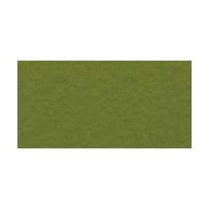   : Bazzill Prismatic Cardstock  Spring Willow Medium: Everything Else
