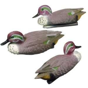   Green Winged Teal Duck Decoys w/ Weighted Keels: Sports & Outdoors