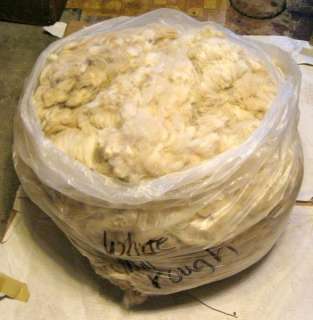 12 Lbs Raw Alpaca Fiber Wool Fleece Full Cuts? ~~NR~~ #13  