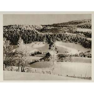  1924 Hadeland Winter Snow Norwegian Landscape Norway 
