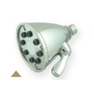  Whitehaus Collection WH139 05 Showerhead: Home Improvement