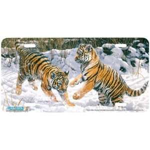 7505 Tiger Cubs Playing Tiger License Plates Car Auto Novelty Front 