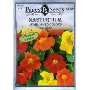  Nasturtium, Jewel Mix Patio, Lawn & Garden