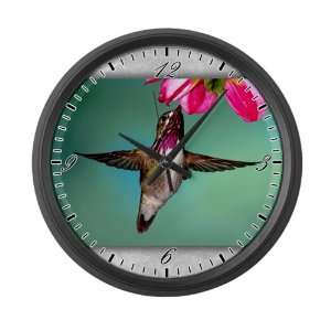    Large Wall Clock Male Calliope Hummingbird 