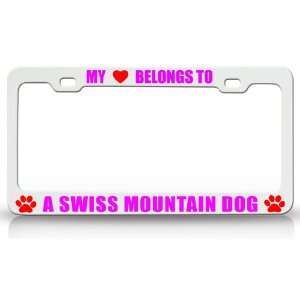  MY HEART BELONGS TO A SWISS MOUNTAIN DOG Dog Pet Steel 