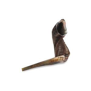    47 55 cm Rams horn shofar for Rosh Hashanah 