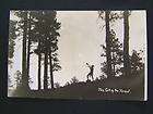 Old RPPC Postcard The Call of the Forest Blowin​g Horn