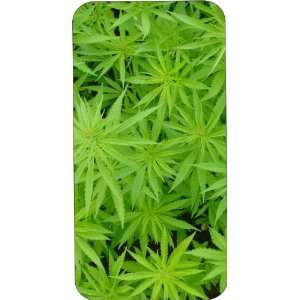  White Silicone Rubber Case Custom Designed Celebrate 420 Marijuana 