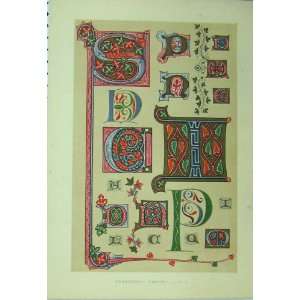    Fourteenth Century C1882 Colour Calligraphy Letters