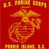 USMC ~ HOODIE marine corps pain is weakness leaving ALL SIZES AND 