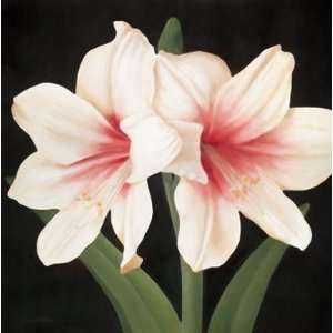  Contemporary Lily I By Gloria Eriksen Highest Quality Art 