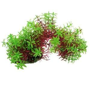   Green Red Five Leaf Curved Design Plants for Fish Tank
