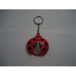  Red/black Dots Ladybug Key Chain with Mirror: Everything 