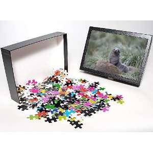   Jigsaw Puzzle of Antarctic fur seal from Robert Harding Toys & Games