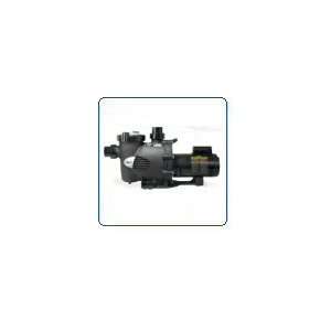  Jandy PHP High Head Pump 2.5 HP Up rated: Patio, Lawn 