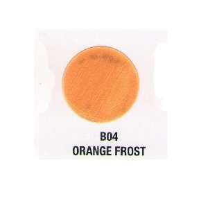  Verity Nail Polish Orange Frost B04 Health & Personal 