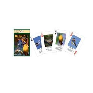 Impact Photographics Playing Cards Birds North American, Educational 