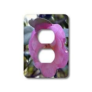 WhiteOak Photography Camellias   Pink Camellia   Light Switch Covers 