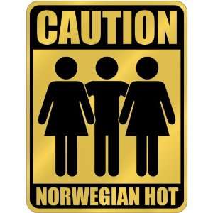 New  Caution  Norwegian Hot  Norway Parking Sign 