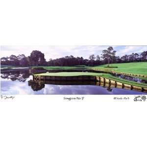 TPC Sawgrass # 17 Golf Print (SizeSignature Edition)  