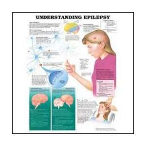  Understanding Epilepsy Anatomical Chart 20 X 26 