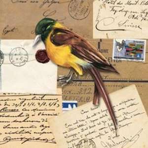 Birds by Unknown 7x7  Industrial & Scientific