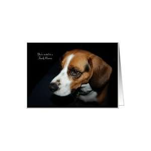 Family Reunion Invitation   Beagle Dog Card