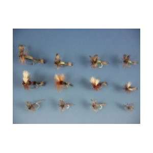  The Trout Spot Attractor Fly Assortment
