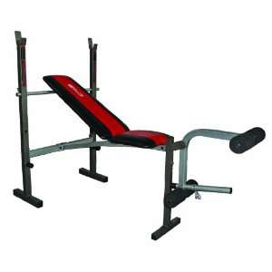    Elite Fitness Deluxe Standard Weight Bench: Sports & Outdoors