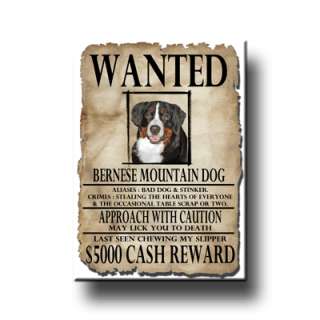 BERNESE MOUNTAIN DOG Wanted Poster FRIDGE MAGNET Berner  